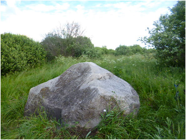 Снимок сделан в 2014 году с южной стороны камня.