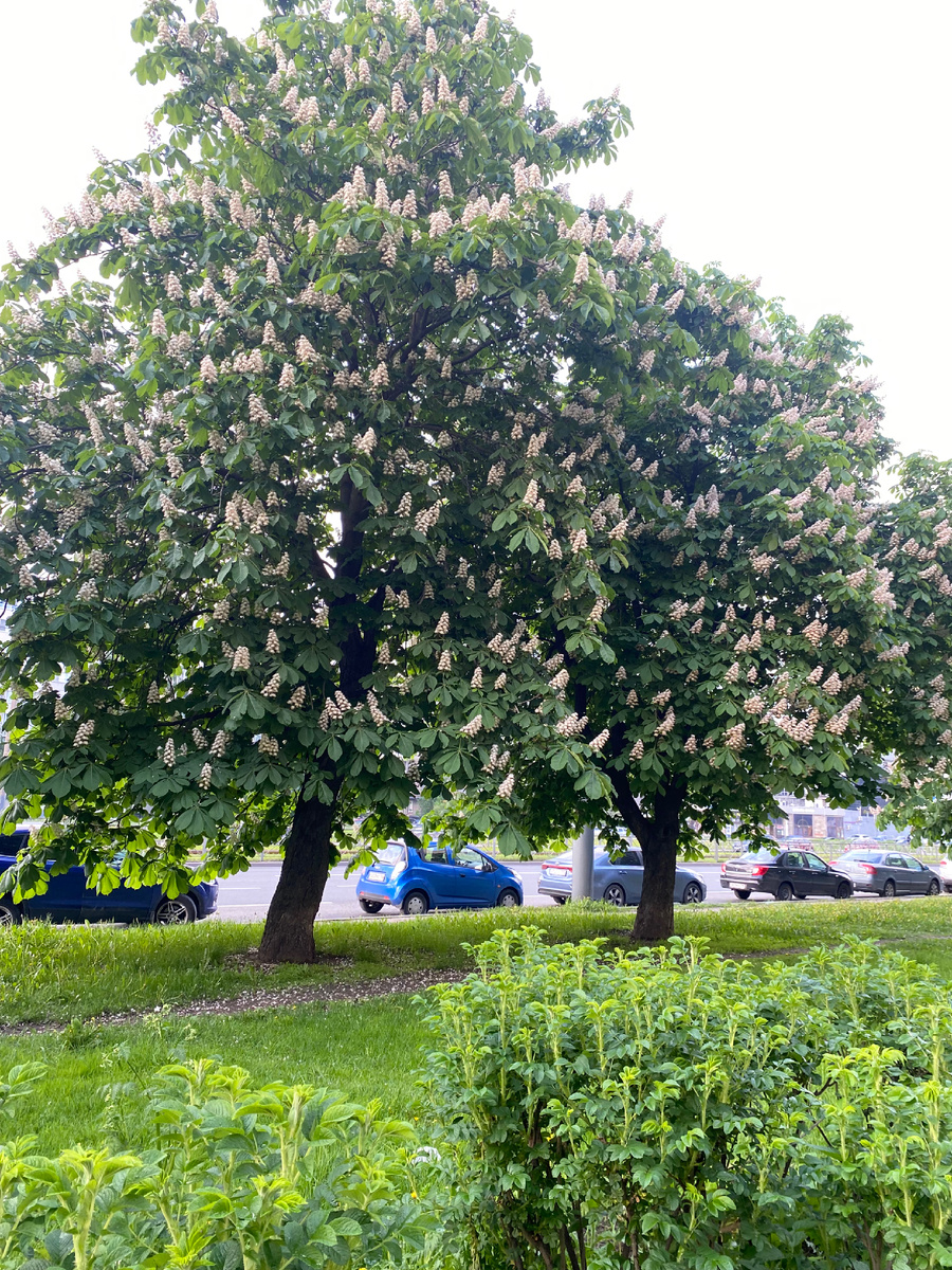 Красиво, почти как в Пятигорске 