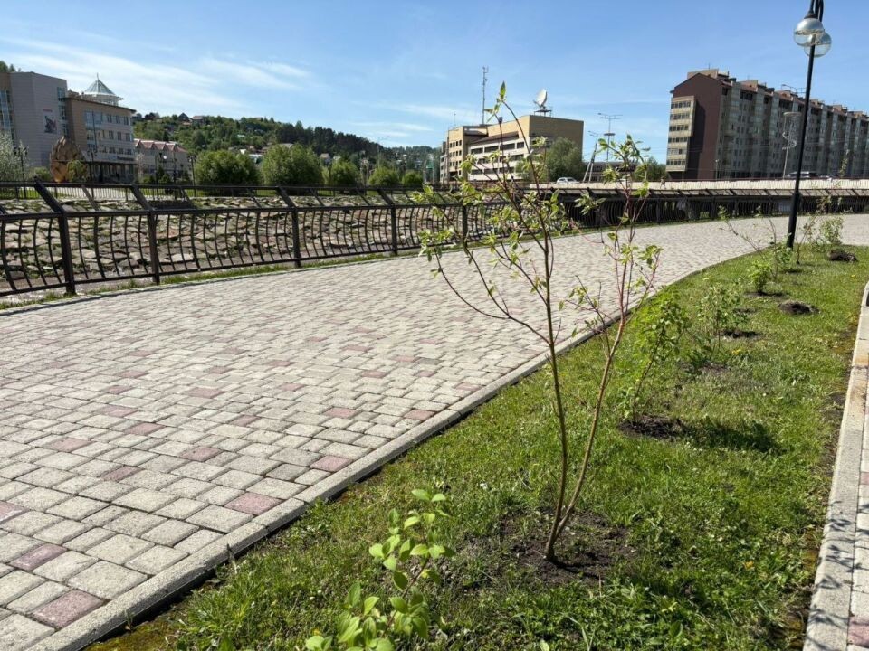    Озеленение Горно-Алтайска. Источник: Пресс-служба администрации Горно-Алтайска