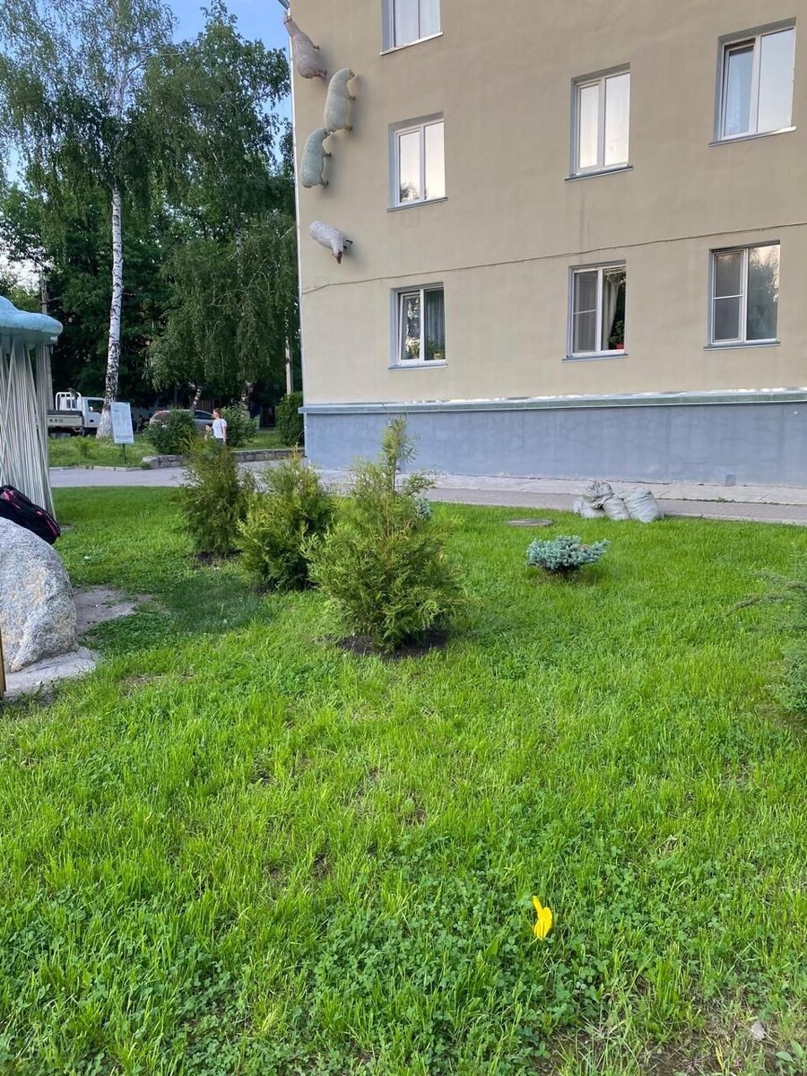    Озеленение Горно-Алтайска. Источник: Пресс-служба администрации Горно-Алтайска