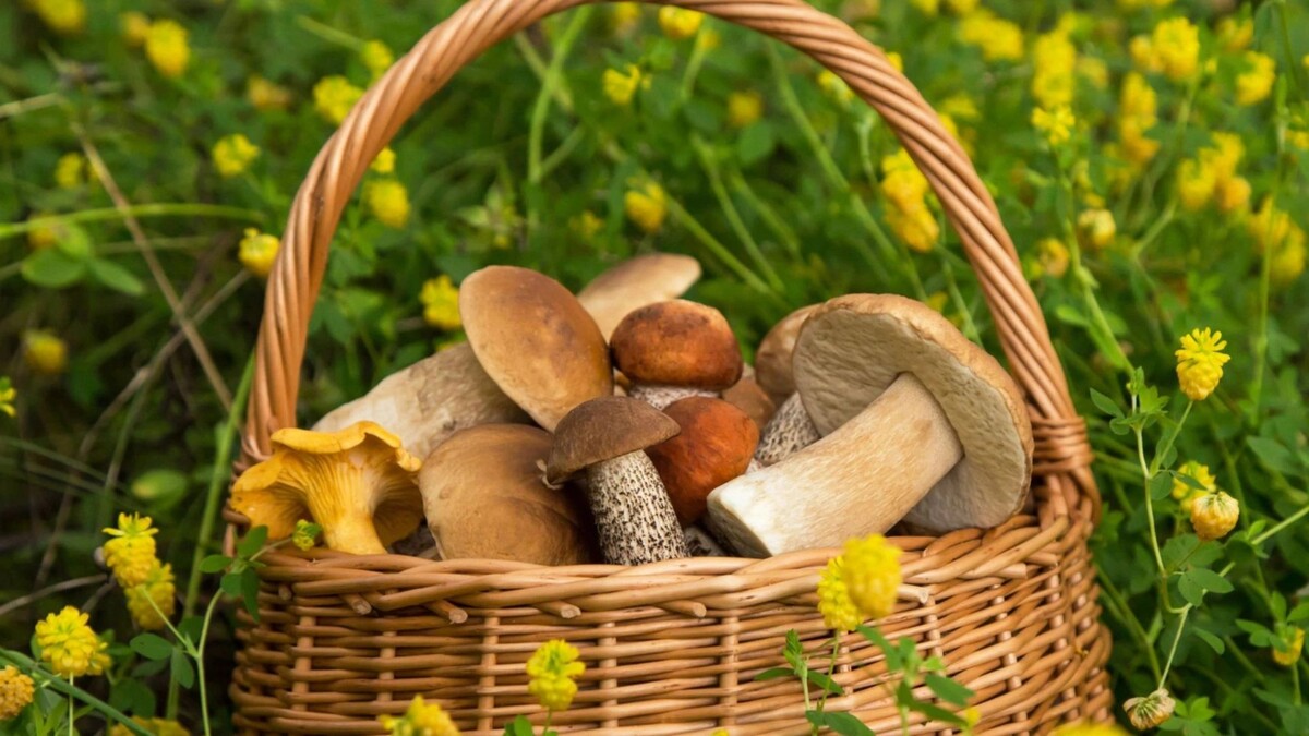    Фото: Viktor Sergeevich/Shutterstock/Fotodom