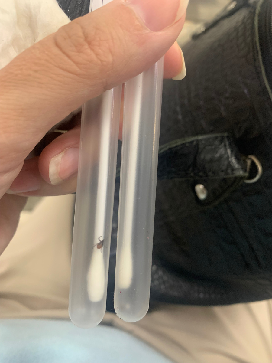 Наша «добыча» 