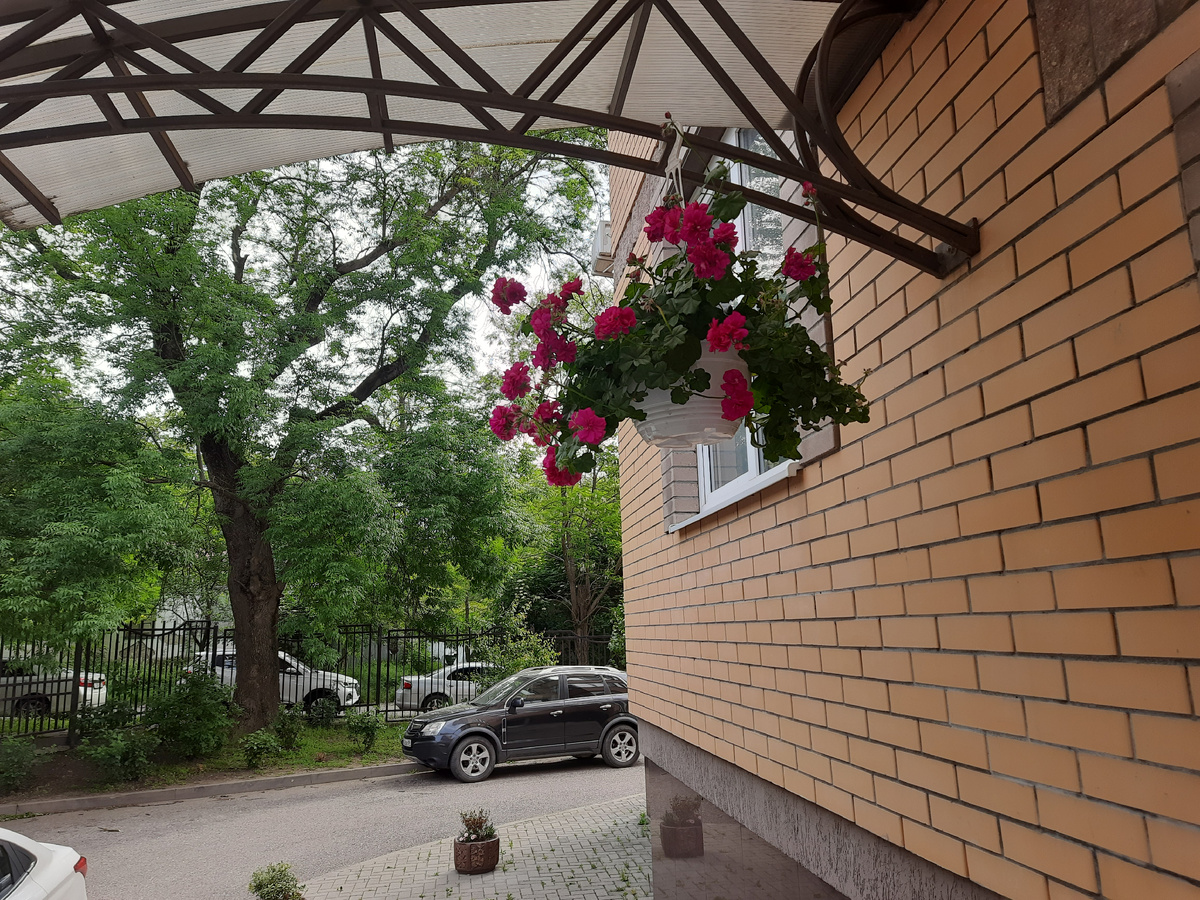 Цветы у подъезда