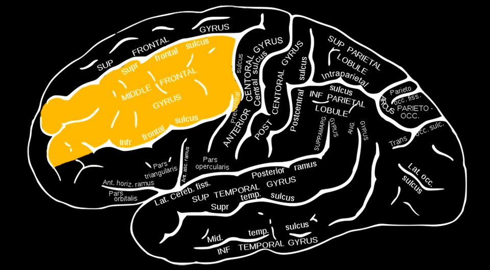   N + 1; Mysid / Wikimedia Commons / Public Domain