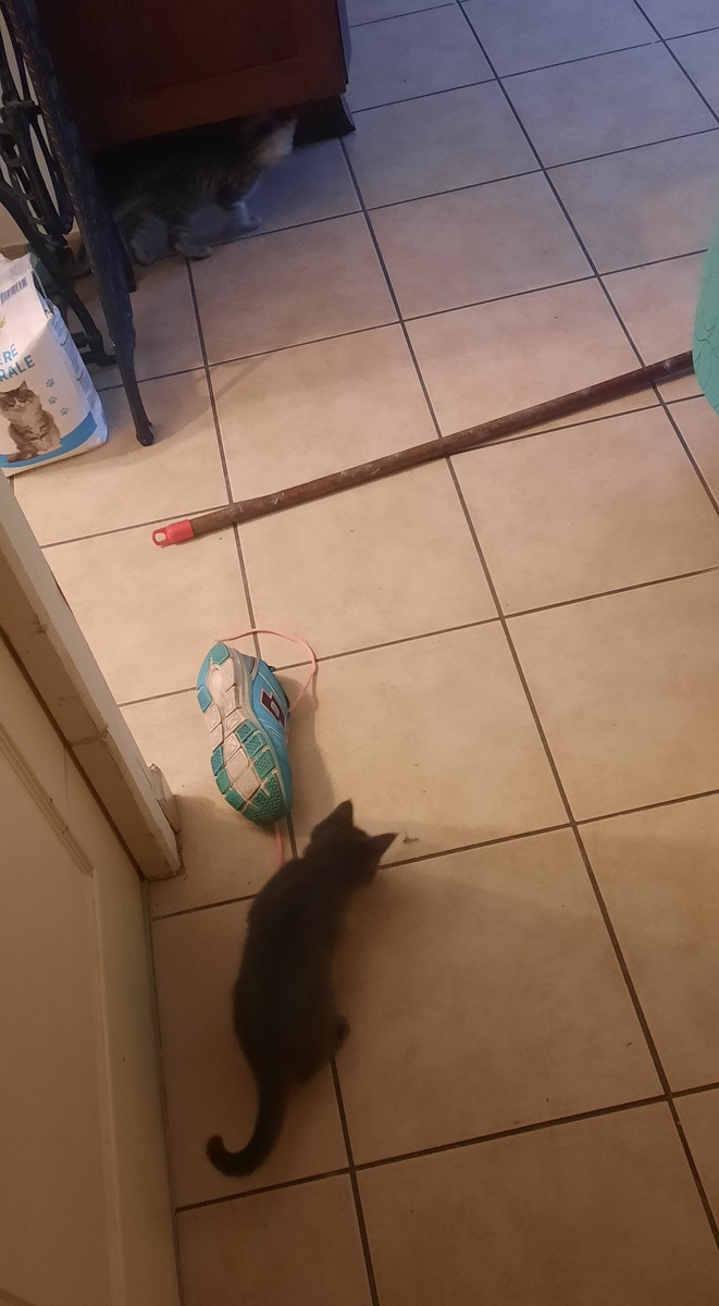 Начало дня: все, до чего дотянулись - уронили