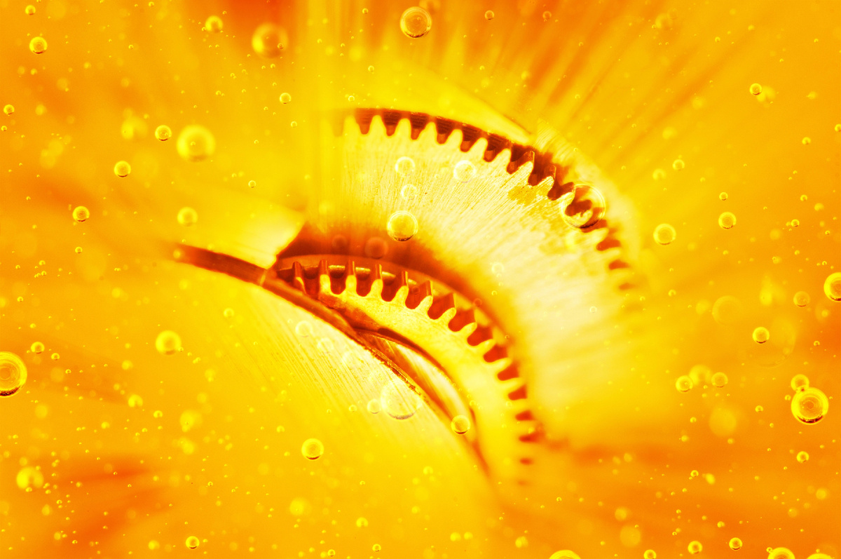 Маркировка моторных масел «Честный знак»