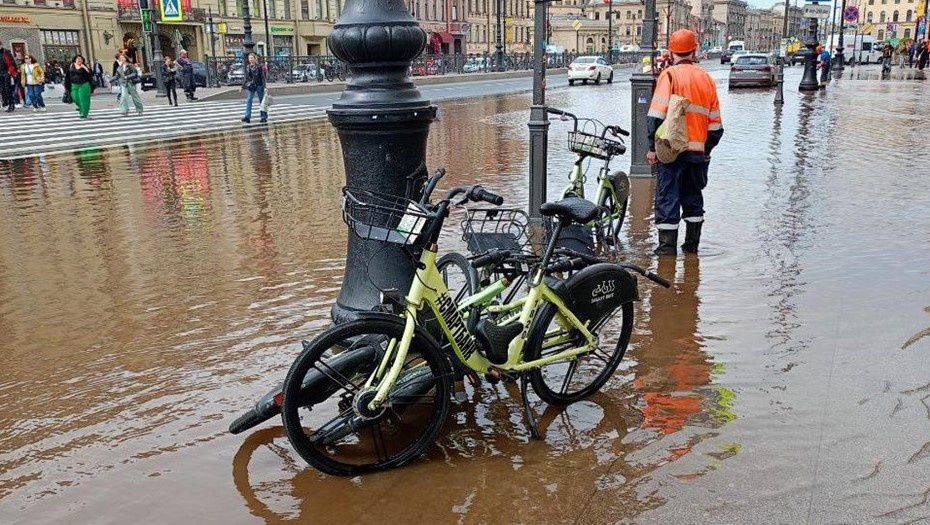    Автор фото: t.me/pitlive