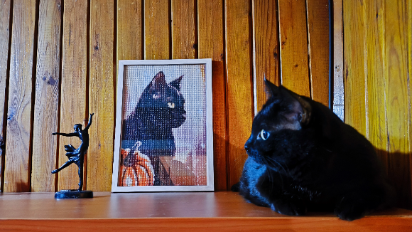 фото автора. Алмазная мозаика и Олимпия)