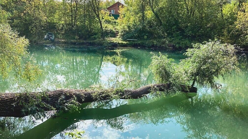     Источник: 1MI