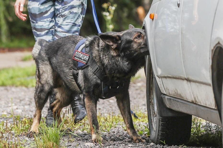    Сергей Булкин/NEWS.ru