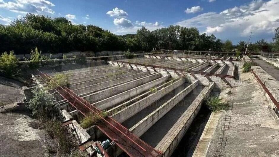     Источник: «Авито»