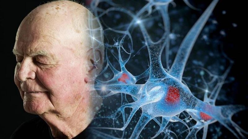 Старение мозга после 40 лет: что происходит и как сохранить ясность ума надолго