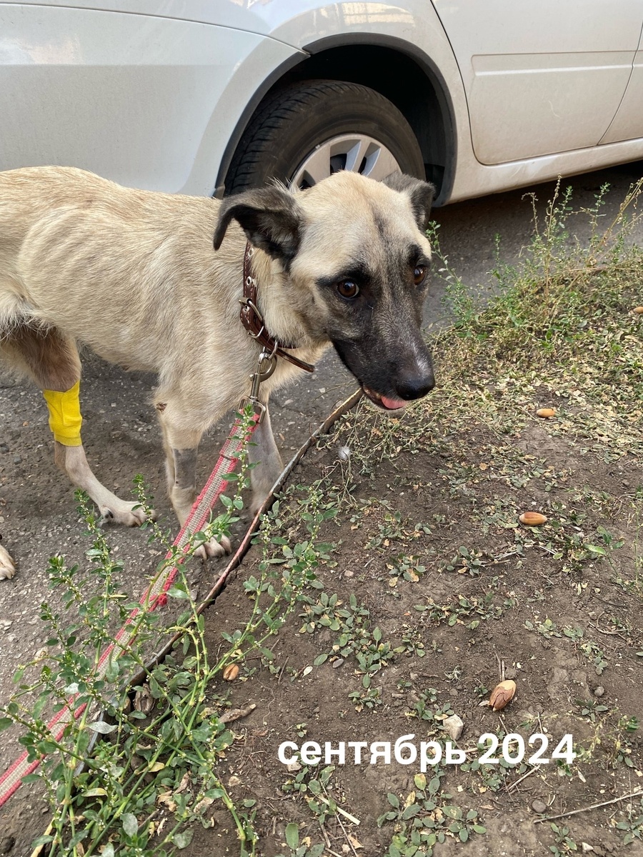 До. Испытания, которые сделали ее сильнее.