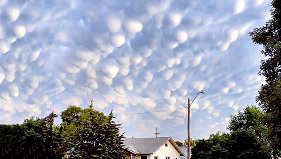 Источник фото: fototerra.ru