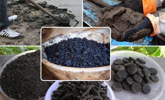 Почему сапропель считают лучшим органическим удобрением для огорода?