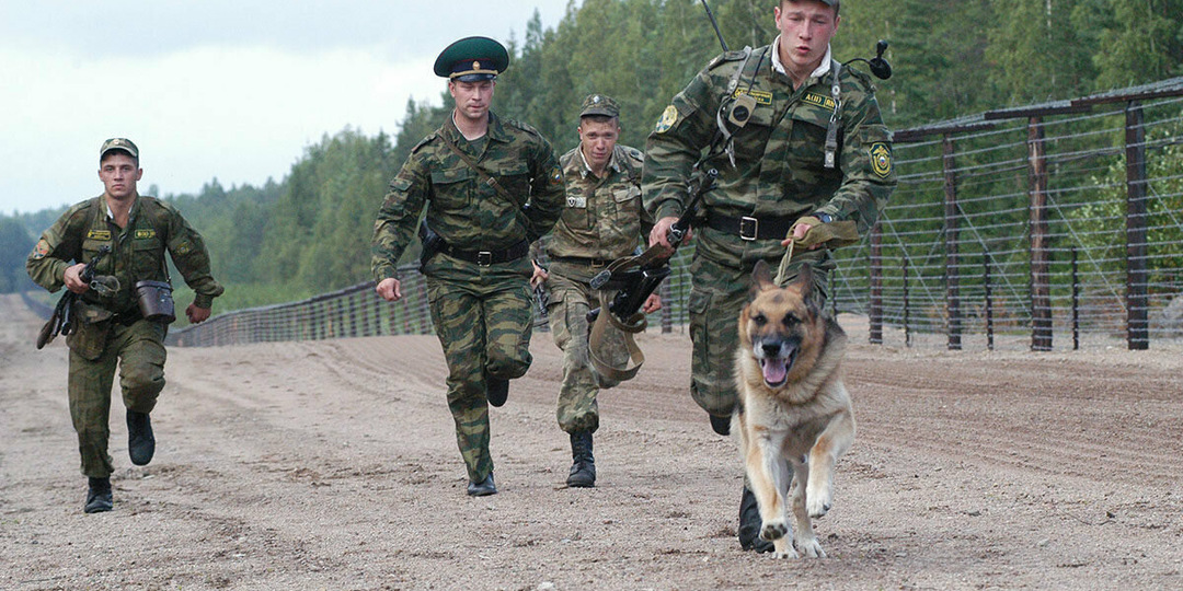 ПВ и четвероногие друзья...
