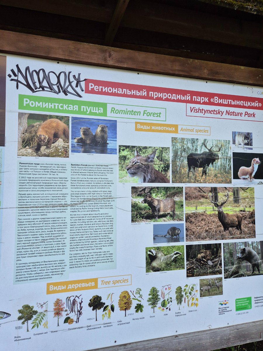 Стенд, который нанесён на яндекс-карты