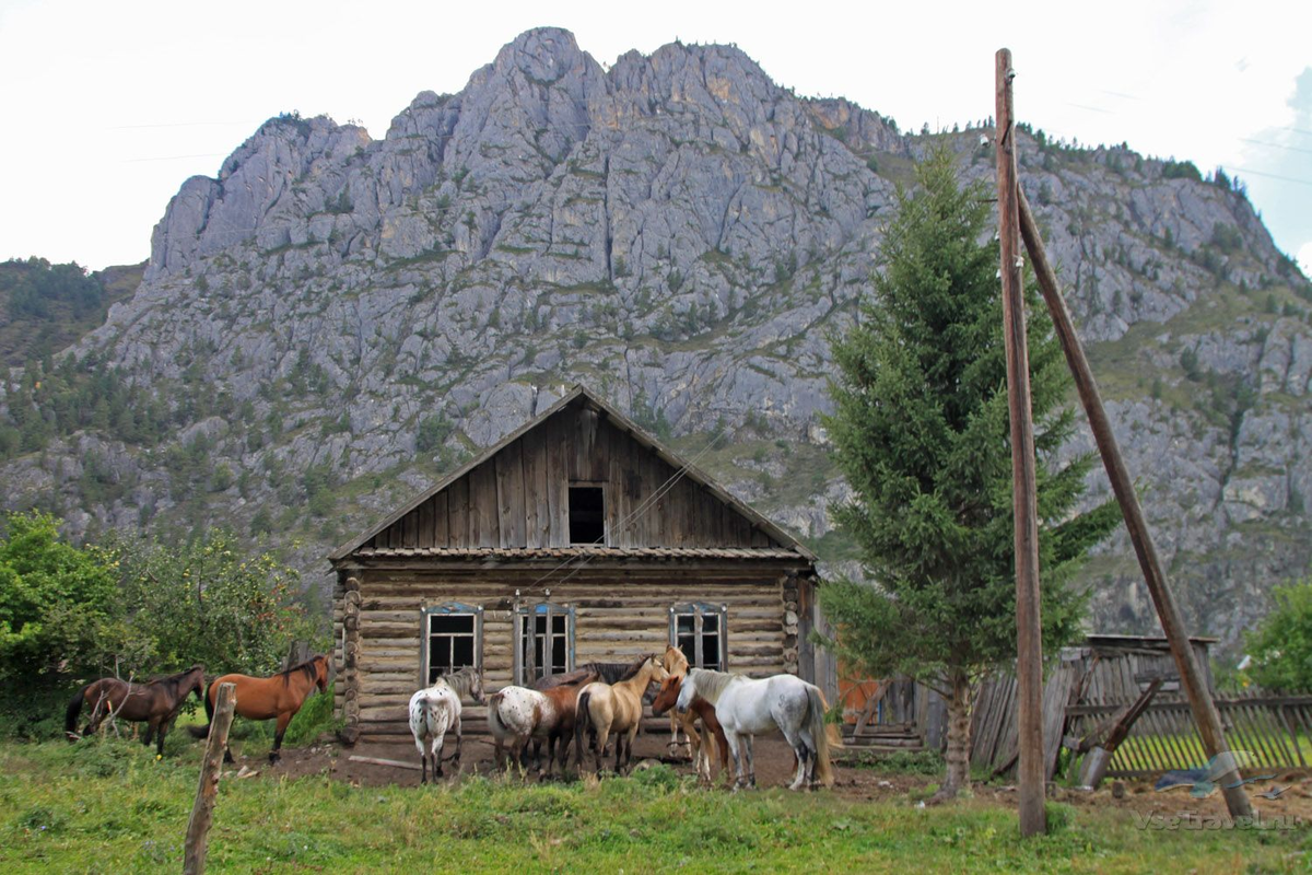Алтайское село