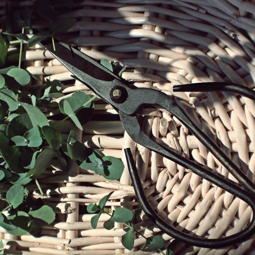   Правильный способ подрезки стеблей цветов, AzaliaNow Катя Невская