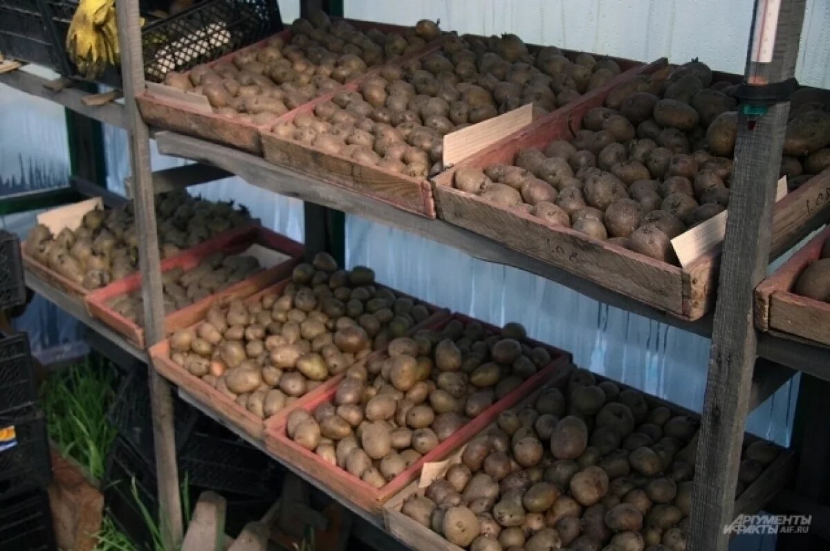    Остапкович сказал, когда цены на подорожавшую картошку опустятся на 30%