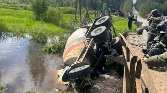 Фото: ГУ МВД по Петербургу и Ленинградской области