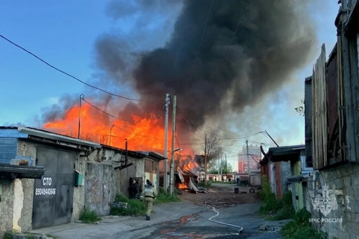    В Сатке огнеборцы МЧС спасли на пожаре шесть свиней