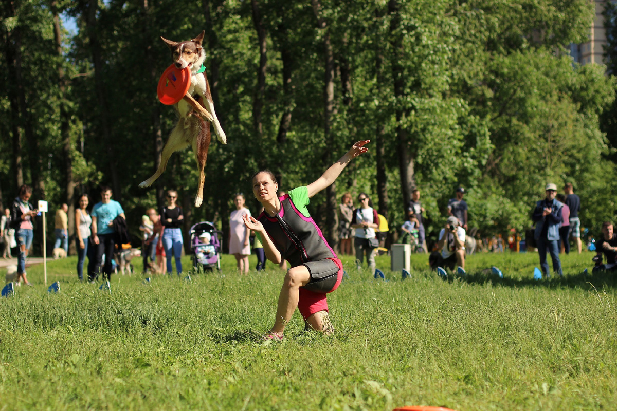 Уверены, что знаете всё о жизни с собакой? Предлагаем убедиться на фестивале!
