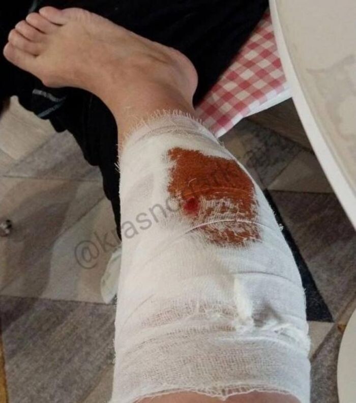 Источник фото: телеграм-канал "Краснодар и край"