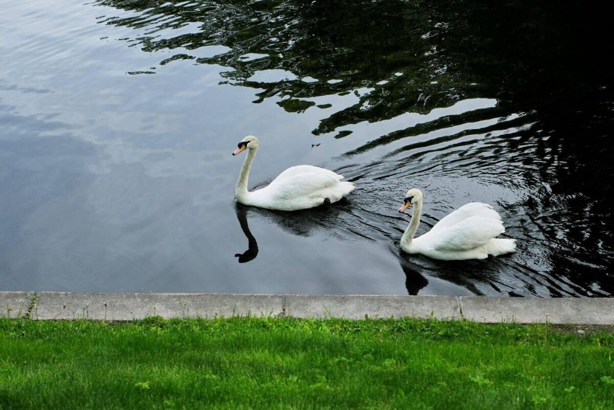    Фото: t.me/rusmuseum