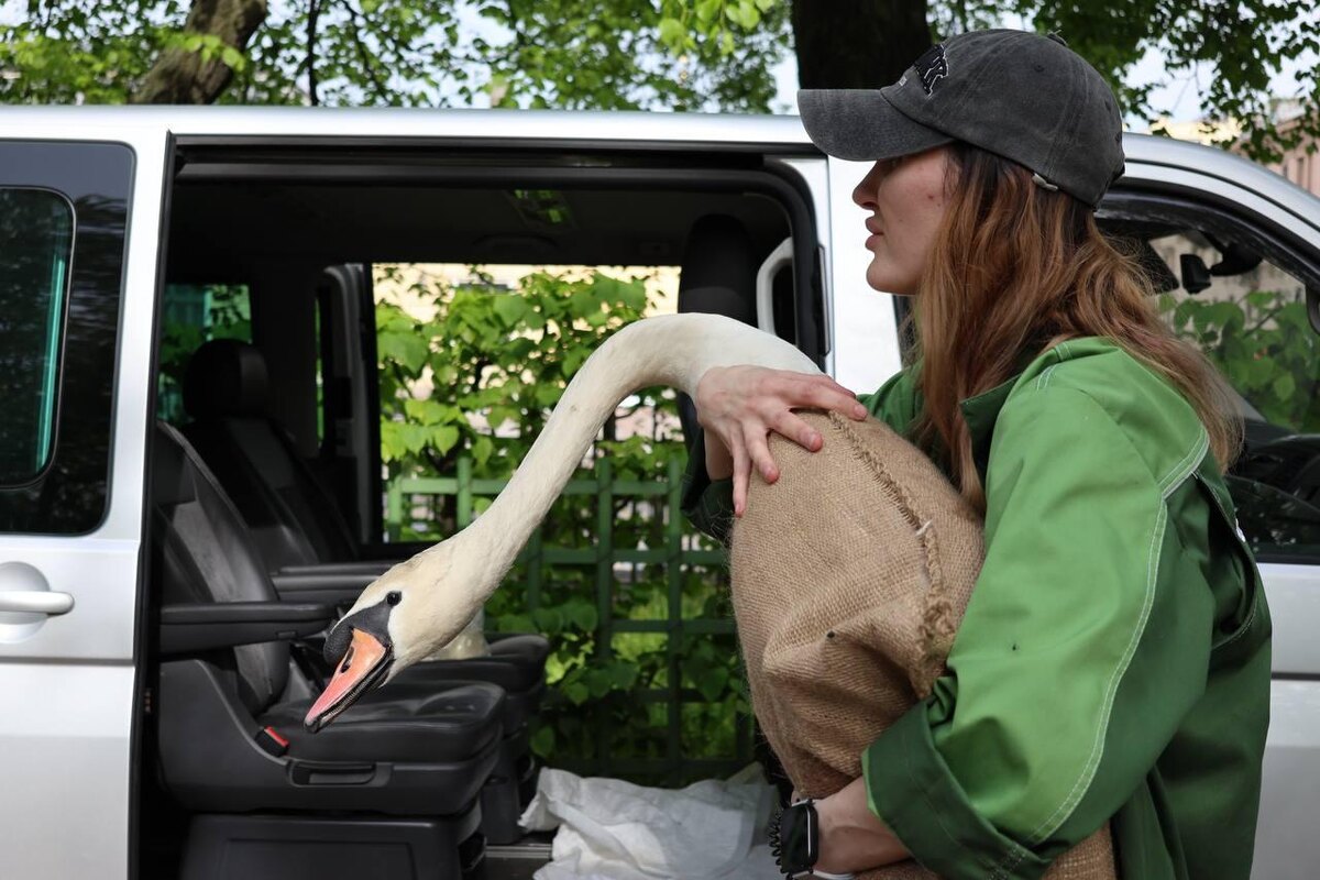    Фото: t.me/rusmuseum