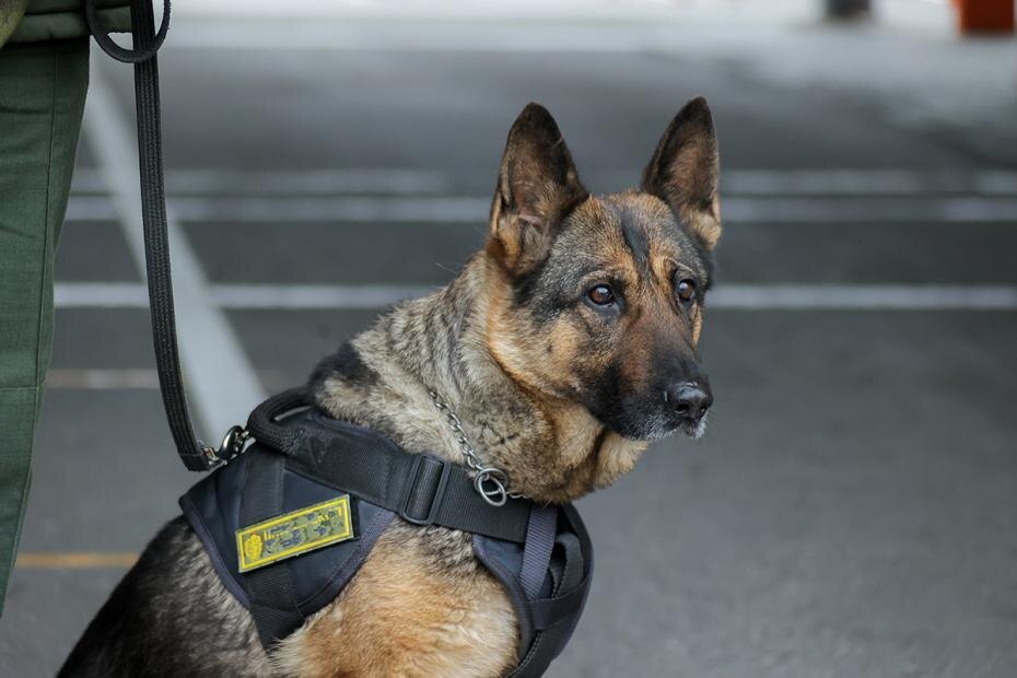    Сергей Петров/NEWS.ru