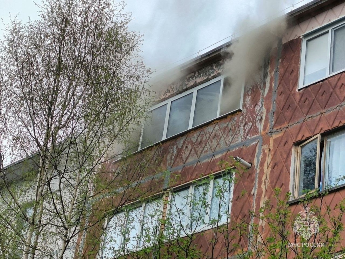    На пожаре в Югорске погибли домашние животные