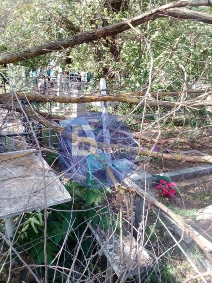 Источник фото: Батайск Город