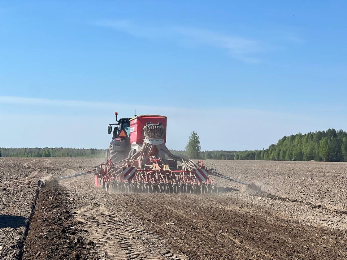    Посевная кампания в Нижегородской области вышла на финишную прямую