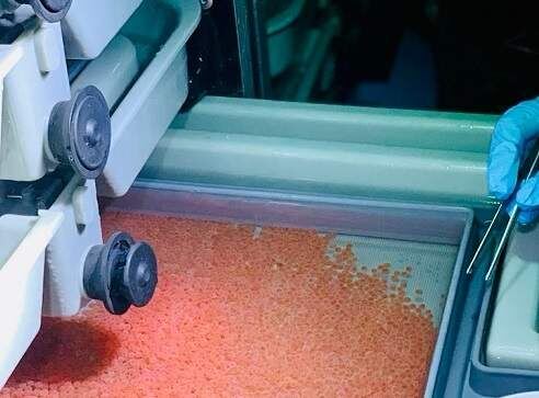    Россельхознадзор по Орловской и Курской областям