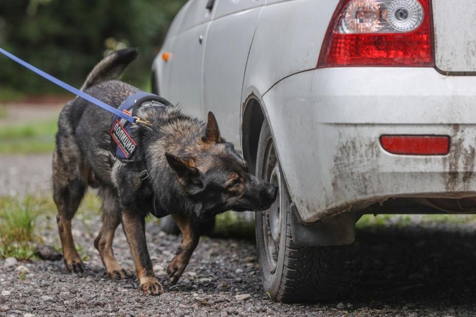    Сергей Булкин/NEWS.ru