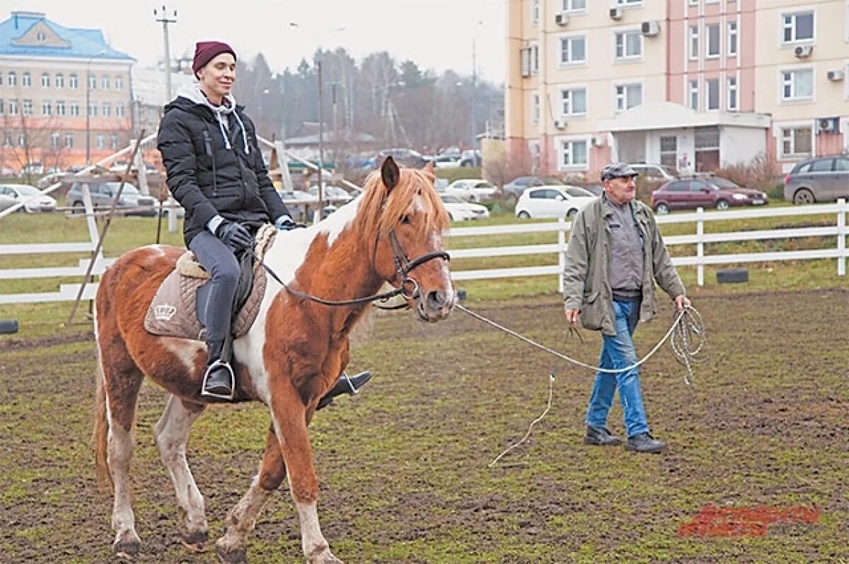    Новые правила катания на лошадях введут в Тюмени с 1 сентября 2025 года