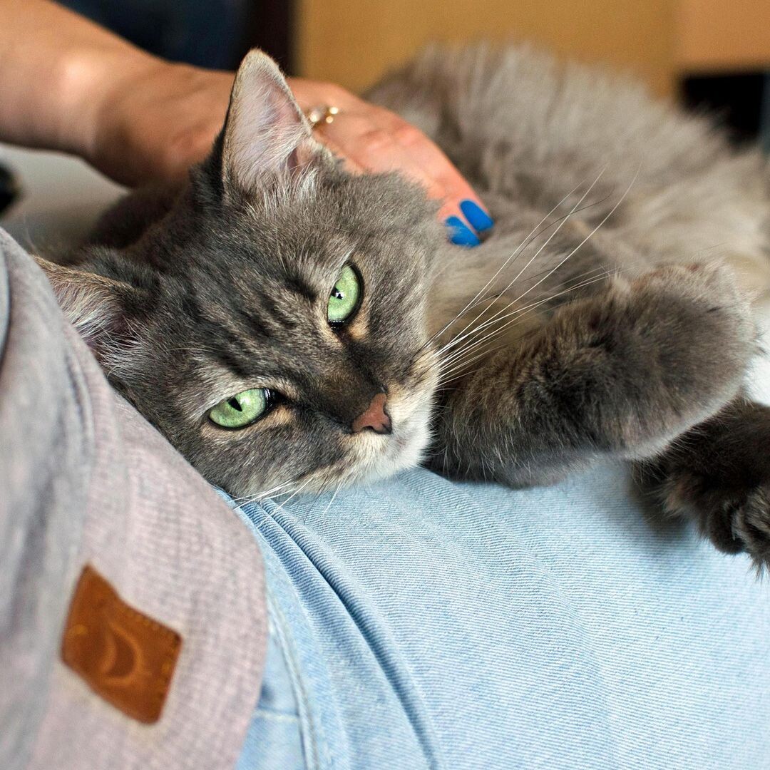 Фото из интернета