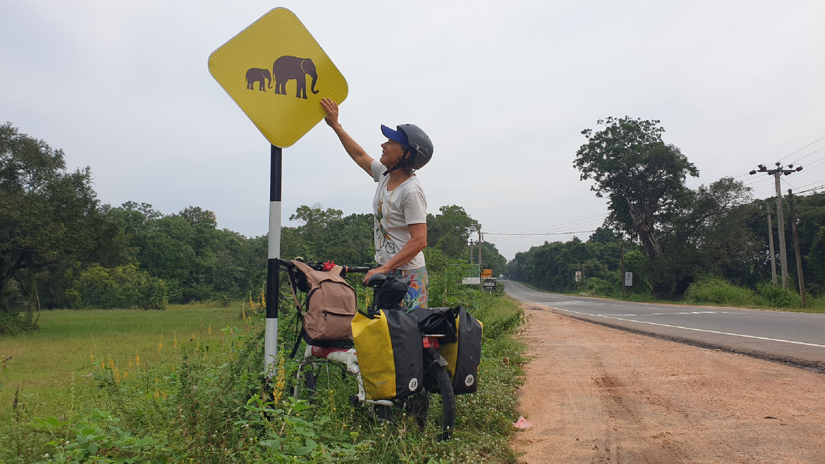 На велосипеде марки tern link d я езжу уже 10 лет