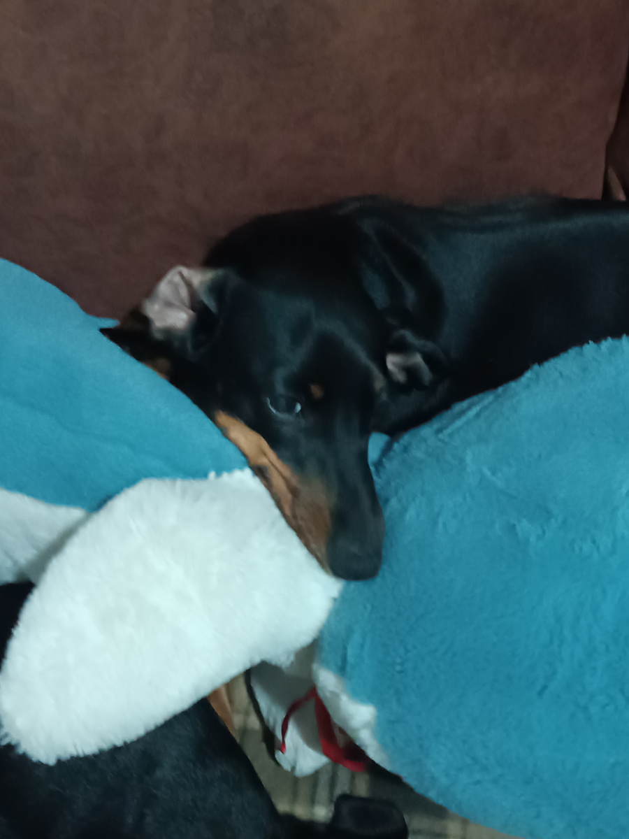 Её высочество собственной персоной. 