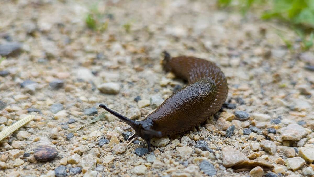    Фото: shutterstock