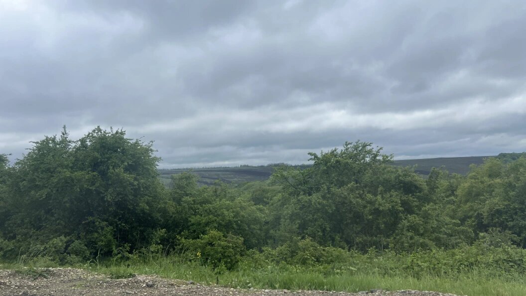    Фото: Царьград