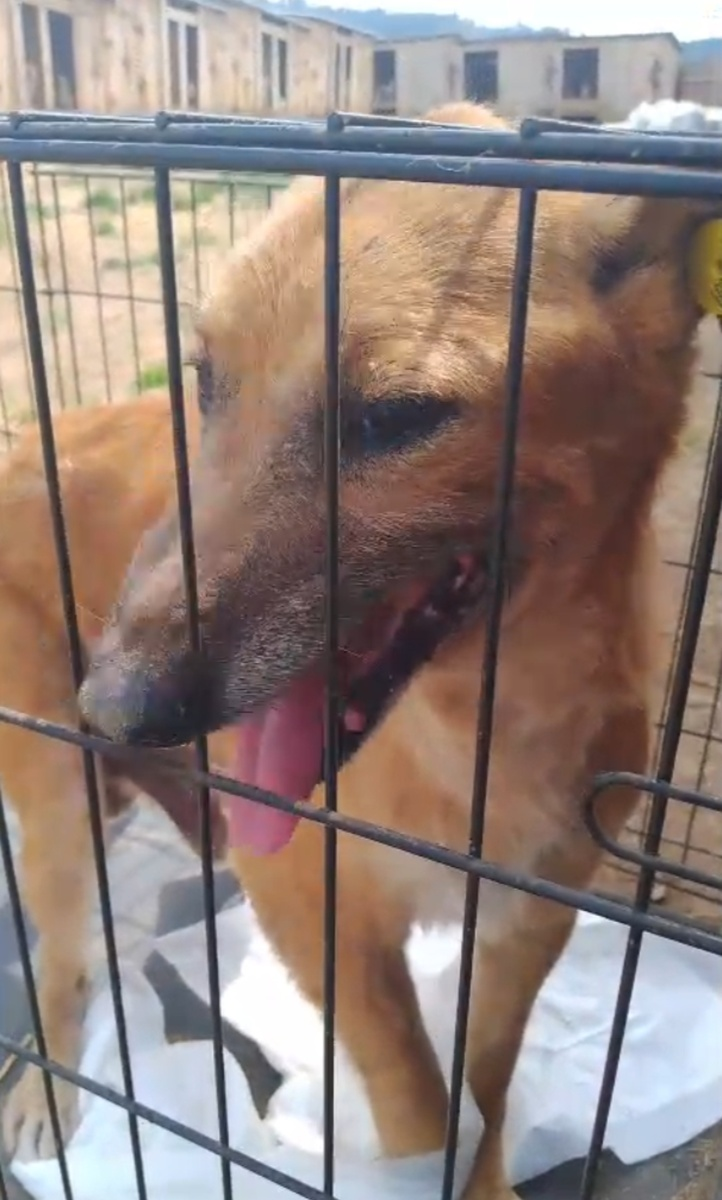 Гриша заболел и ездил в клинику на анализы.