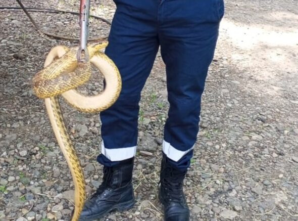    Фото: t.me/kubanspas