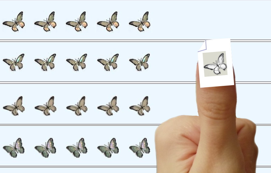 Коллаж. Шаблоны для ногтевого дизайна. Бабочки