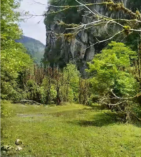 Поездка на ОТДЫХ в АБХАЗИЮ на своём автомобиле.