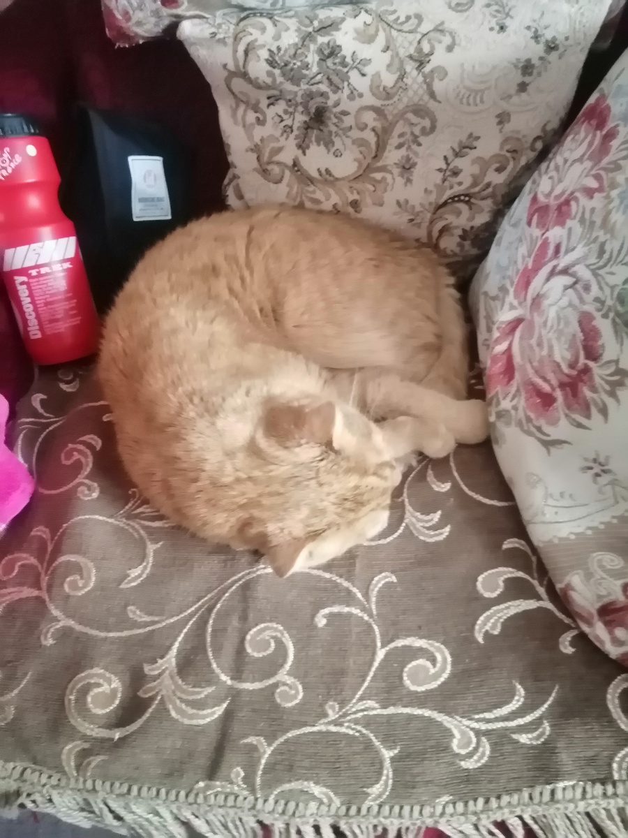 Фото автора 