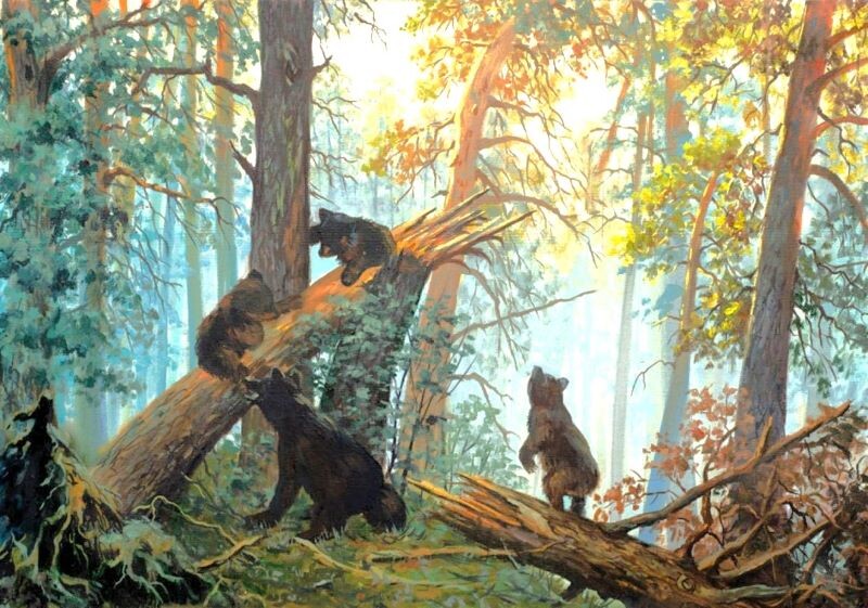 Фото из открытых источников