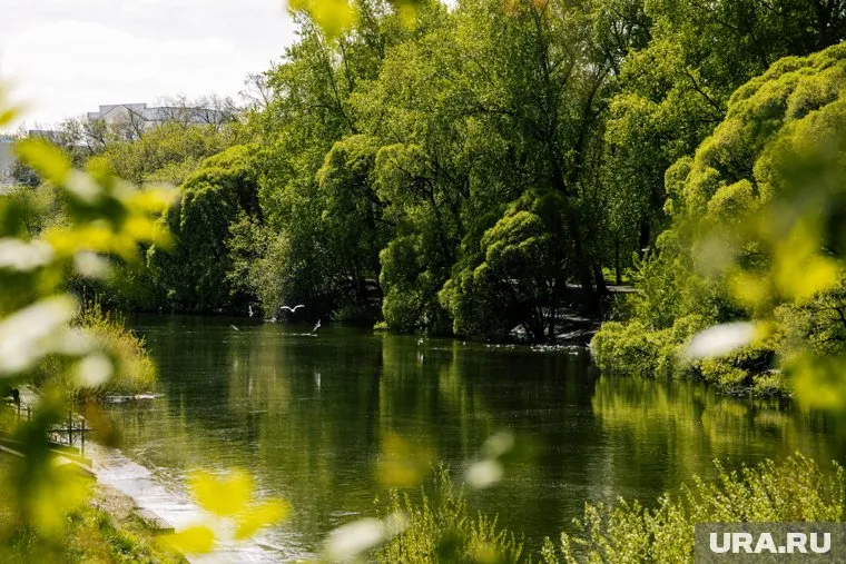Подборка локаций, которые стоит посетить в Тюмени
Фото: Анастасия Соргина © URA.RU
