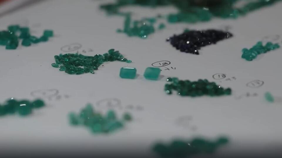 Фото: © Кадр из программы "Невероятно интересные истории", РЕН ТВ